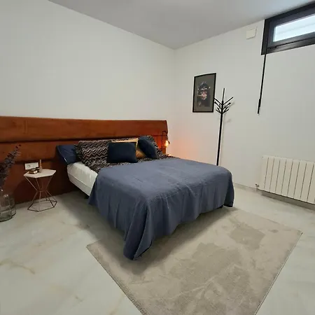 Large With Private Pool And Sauna Pmt37 Villa Torrevieja